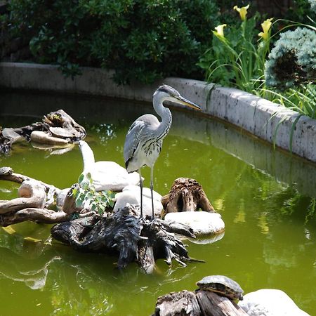 Al Giardino Hotel Fanna ภายนอก รูปภาพ